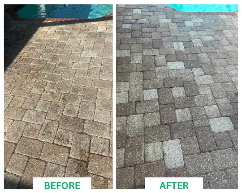 Pool Paver Deck Cleaning