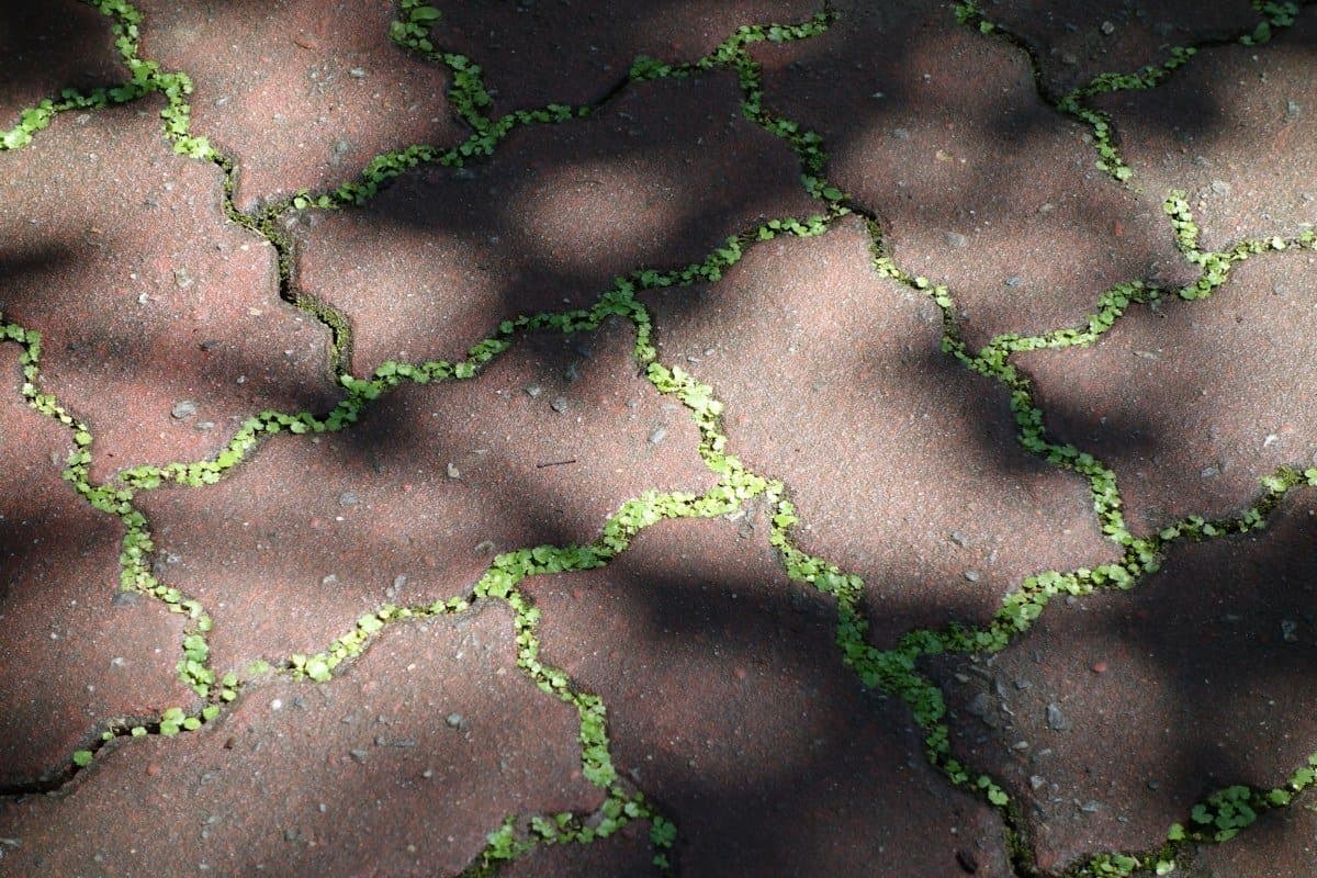 Before: Paver Patio Transformation